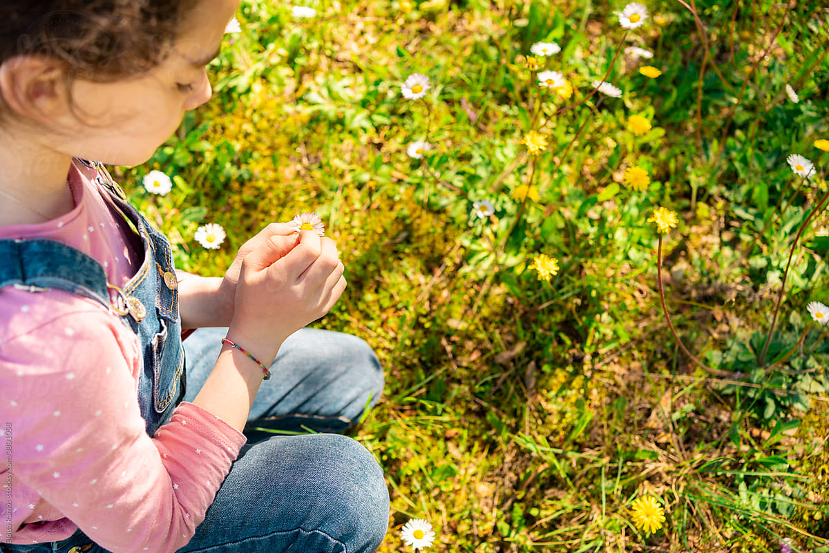 Close-up of little girl defoliating a daisy at field