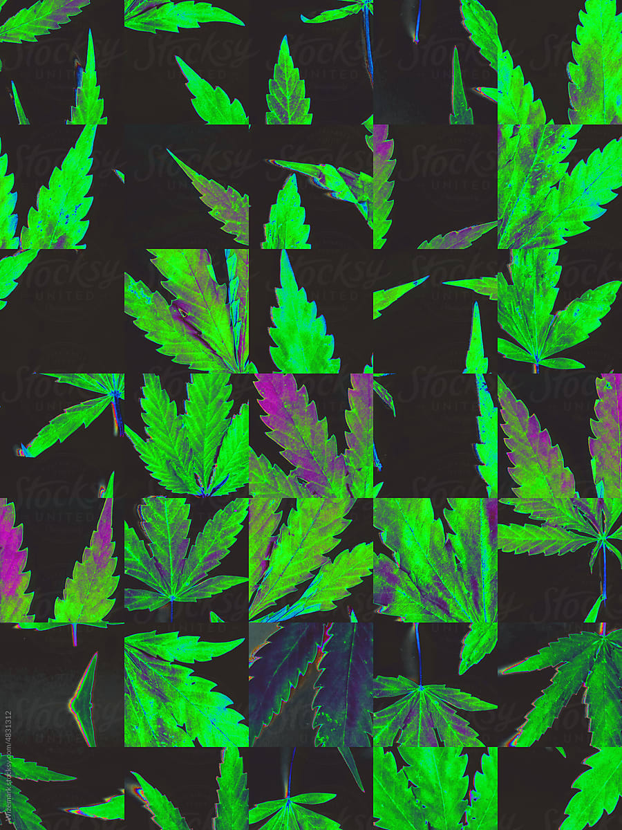 Marijuana, cannabis with the glitch effect in green colors