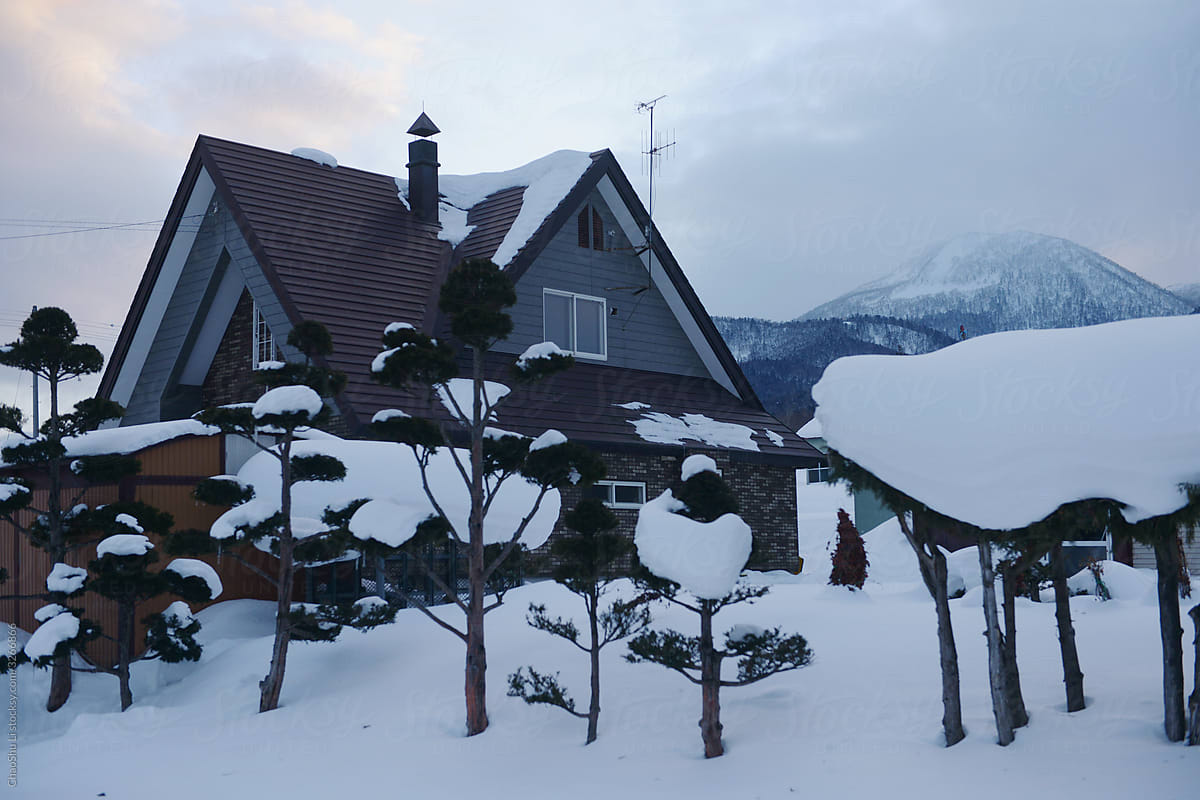 Beautiful woods and snow view of houses. Journey in Japan