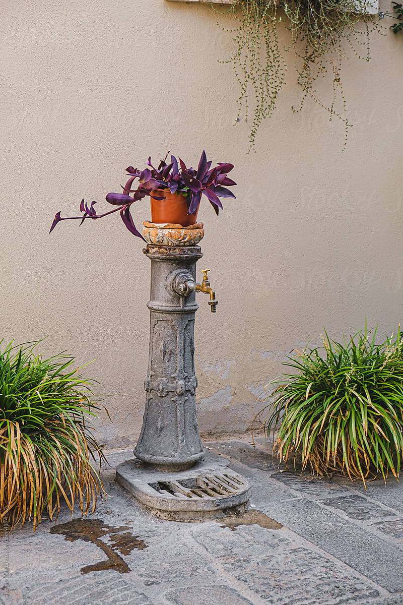 Old water fountain with flower pot