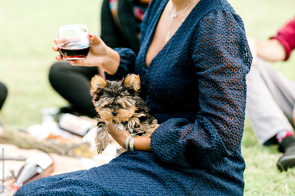 Woman holding puppy at picnic