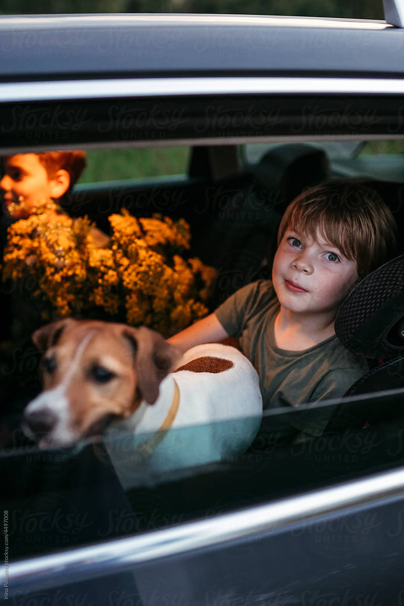 Young siblings passenger in car with dog.