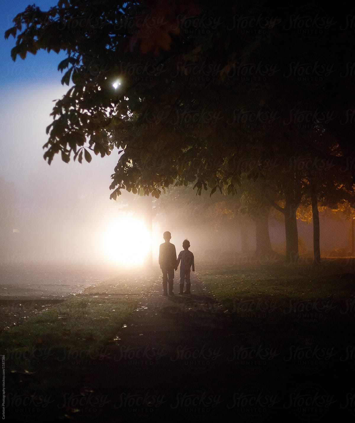 Two children holding hands on a sidewalk on a foggy morning, facing approaching headlights