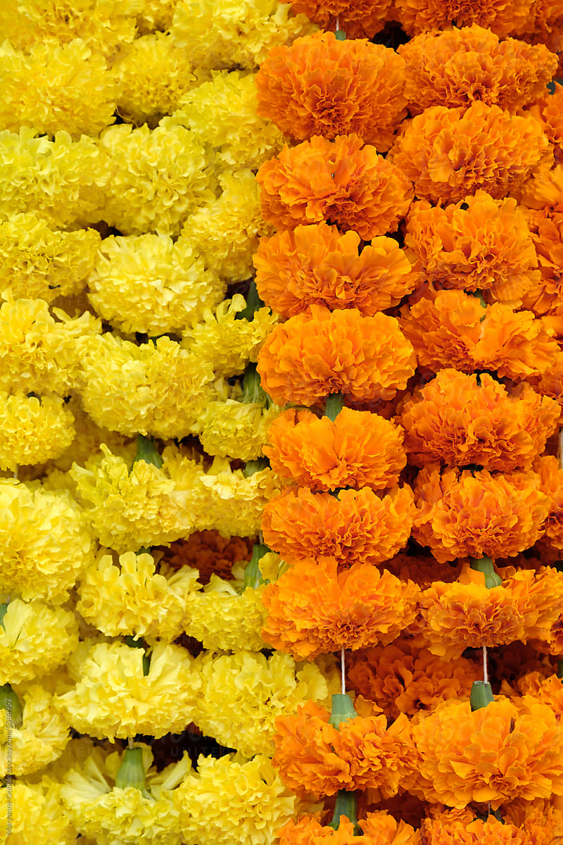 Marigold Flower Garlands
