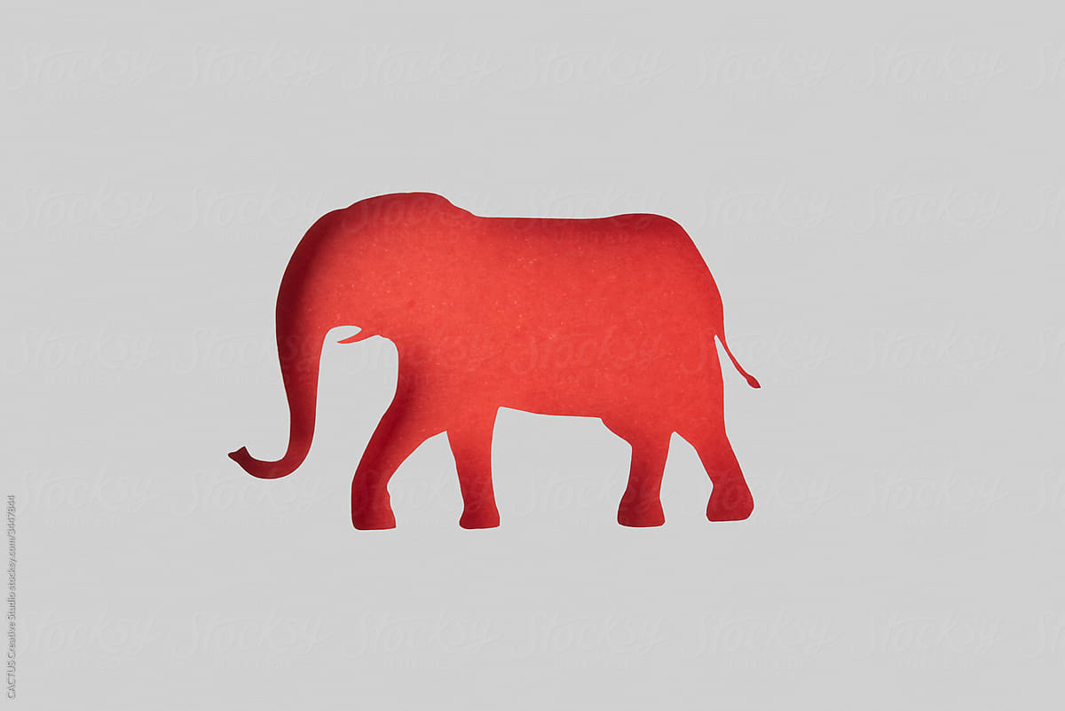 Elephant\
United States presidential election