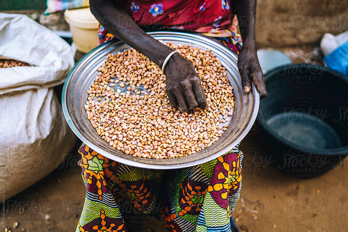 Crop African lady selecting coffee beans from bowl