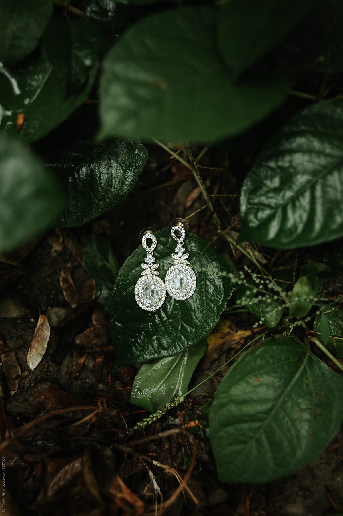 Glamorous crystal chandelier earrings on leaves in overgrown garden