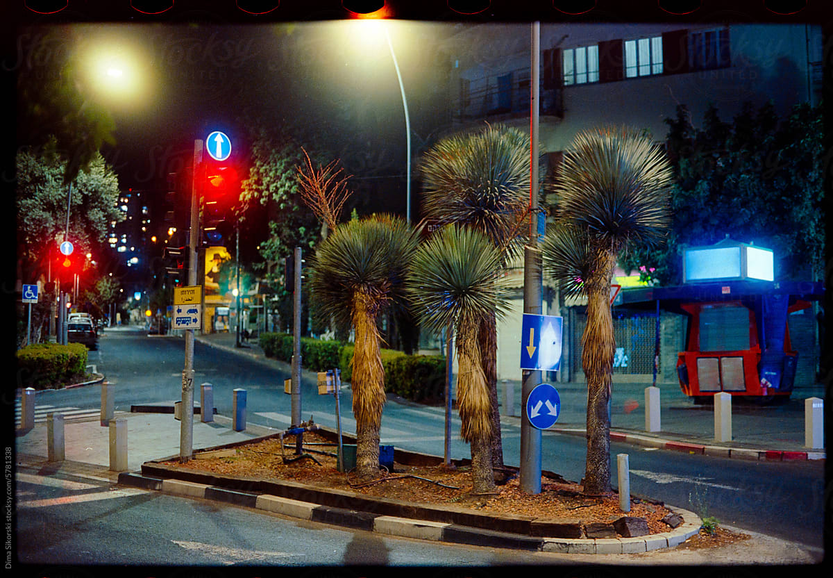 Night street with palm trees and traffic lights in Israel