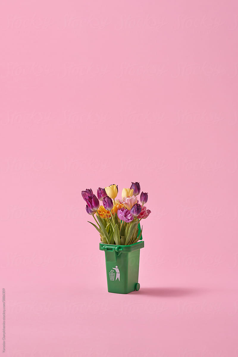 Tulips in trash can