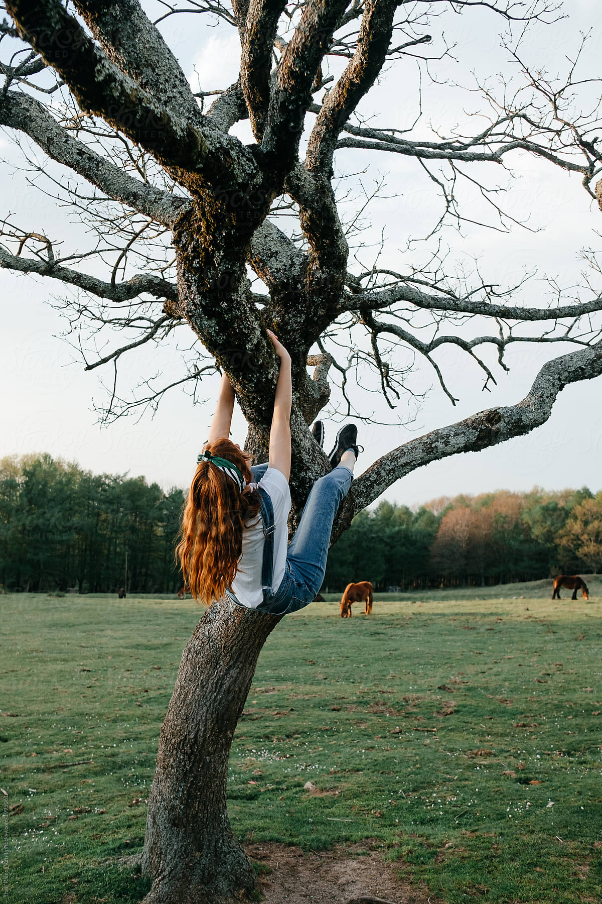 Beautiful Woman in a Special Outfit Climbing the Trees Stock Photo
