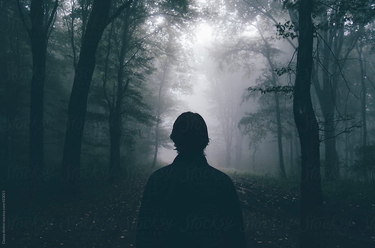 Man In Mysterious Forest With Fog By Cosma Andrei Stocksy United