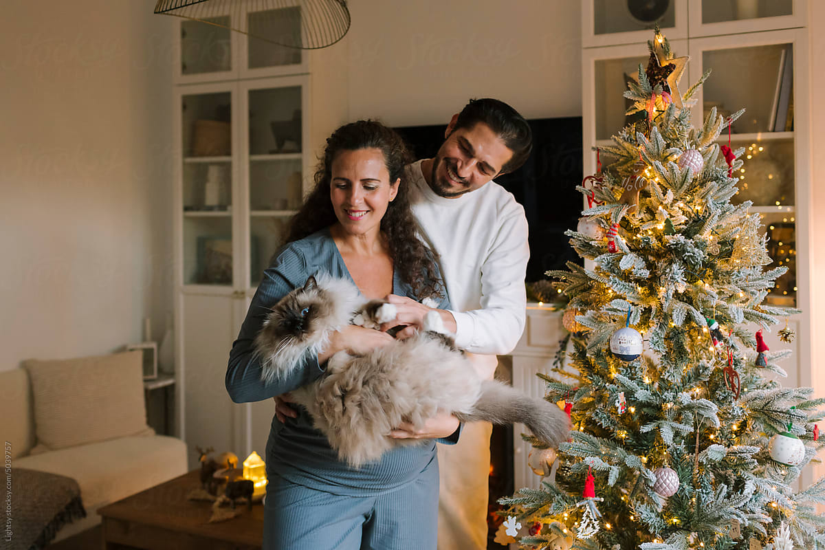 Couple holding a cat in their arms beside a Christmas tree
