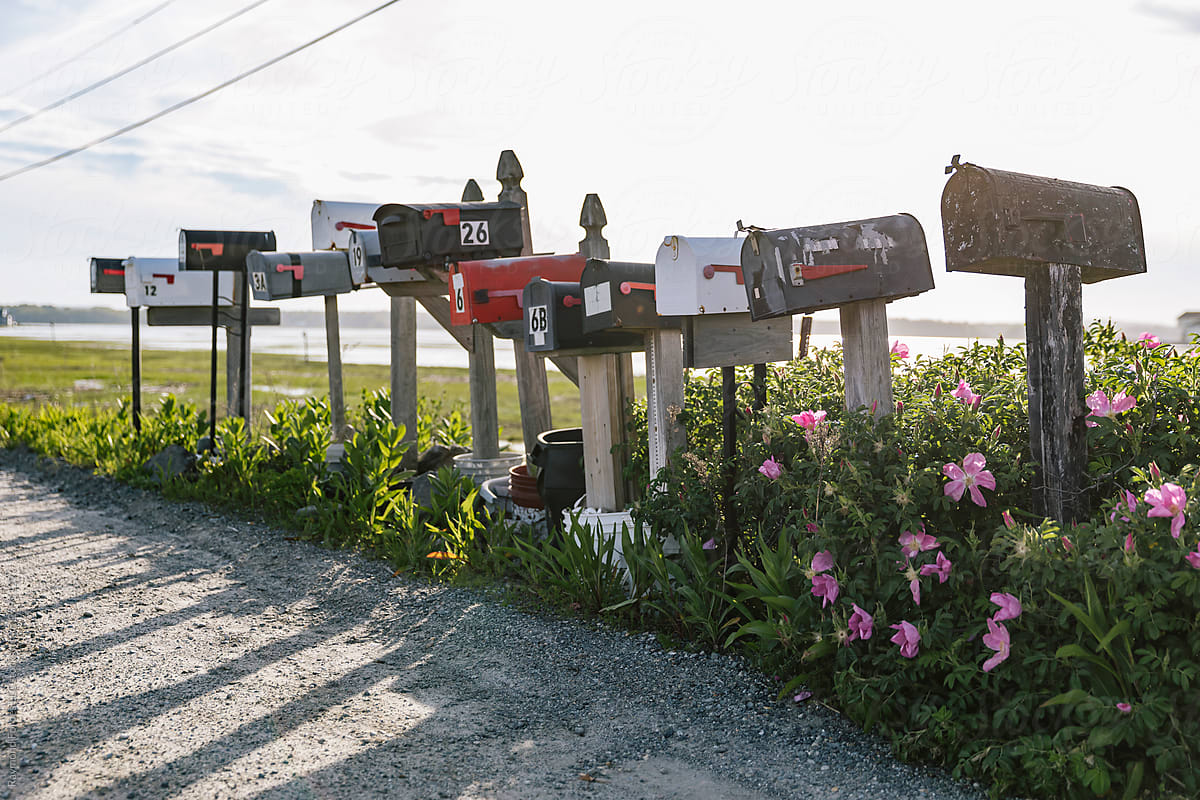 Dirt Road with Row of Mailboxes in Rural Area