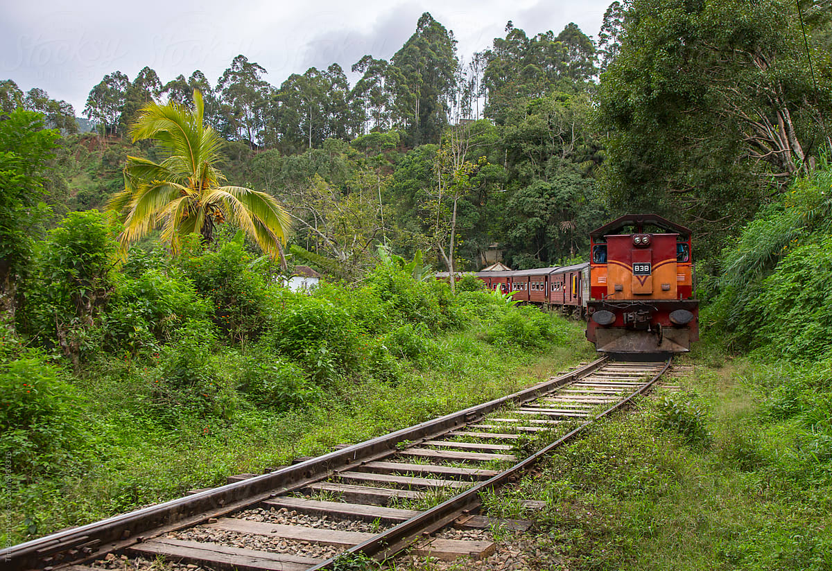 Approaching passenger train in Sri Lanka
