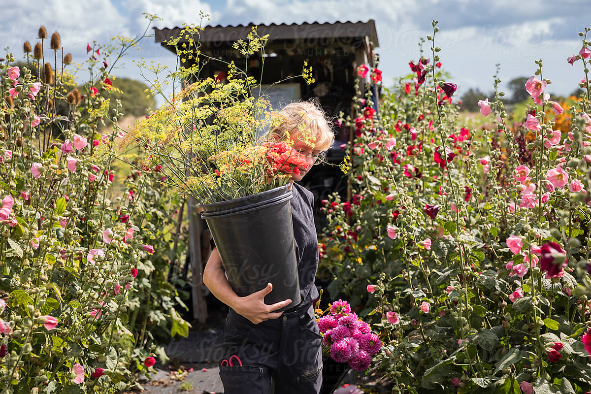 Woman carrying flowers in bucket