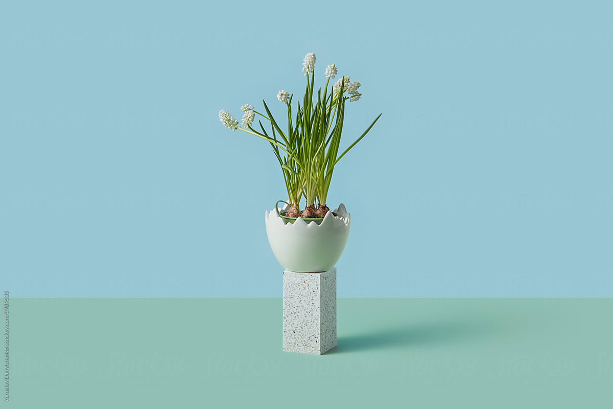 Spring flowers growing in egg shape vase placed on stand in studio