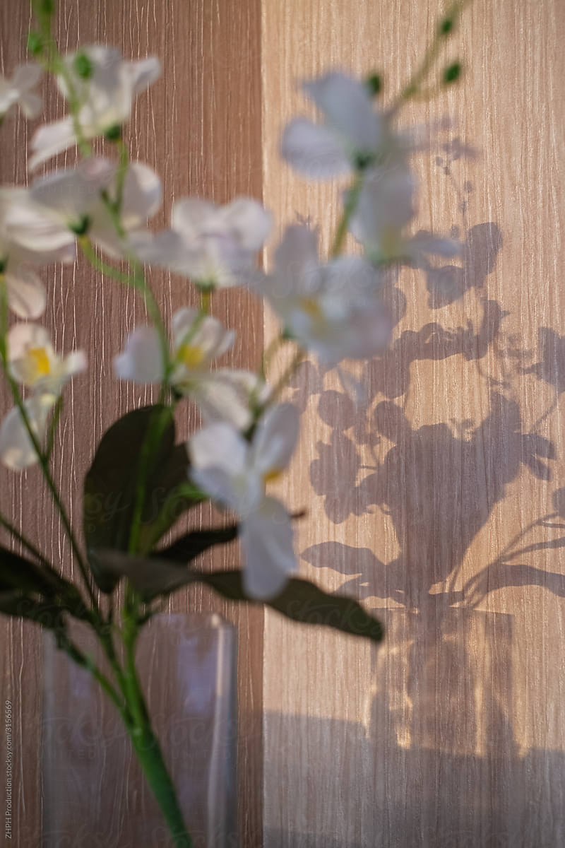 Flowers in vase shadow on the wall