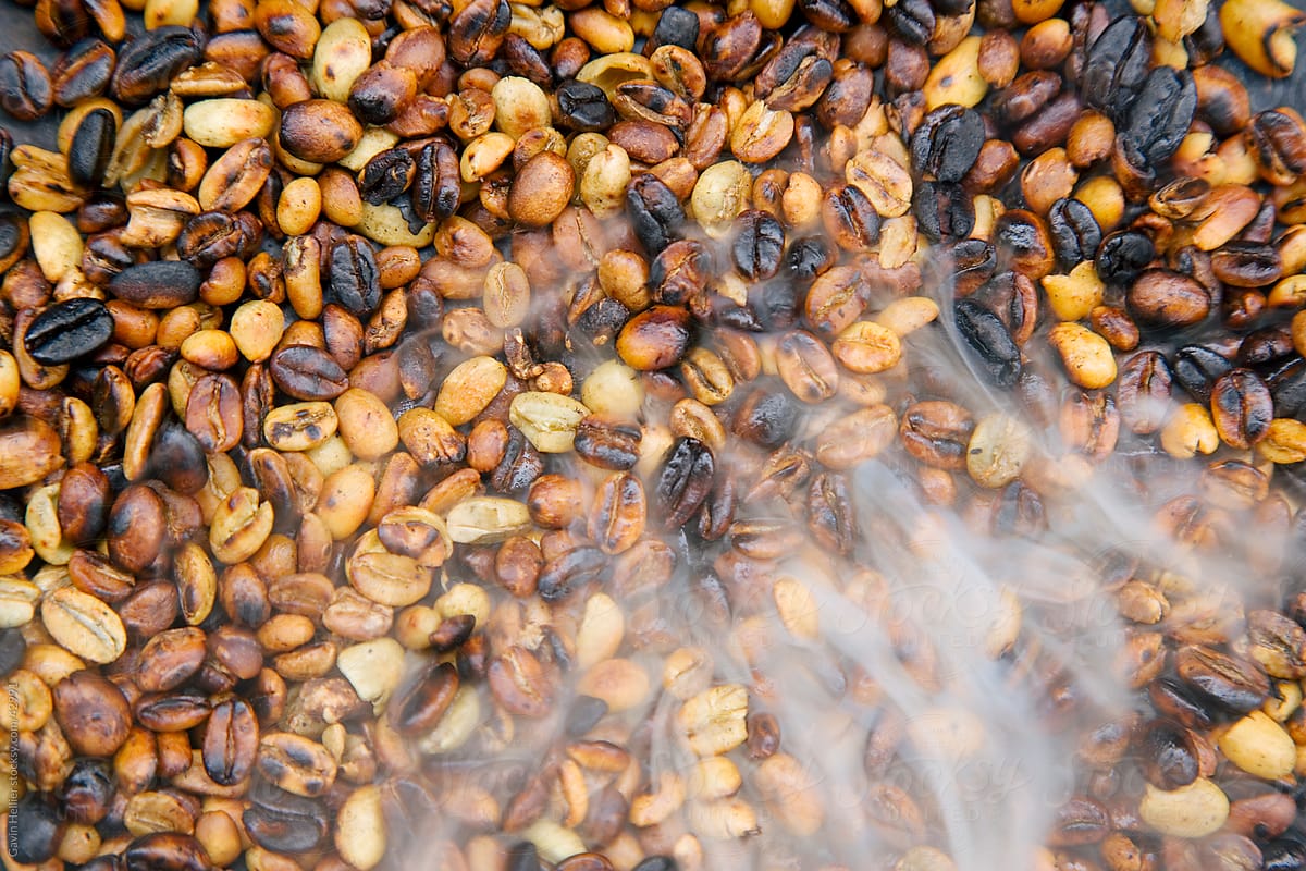 Roasting coffee beans, Bahir Dar, Lake Tana, Gondar region, Ethiopia, Africa