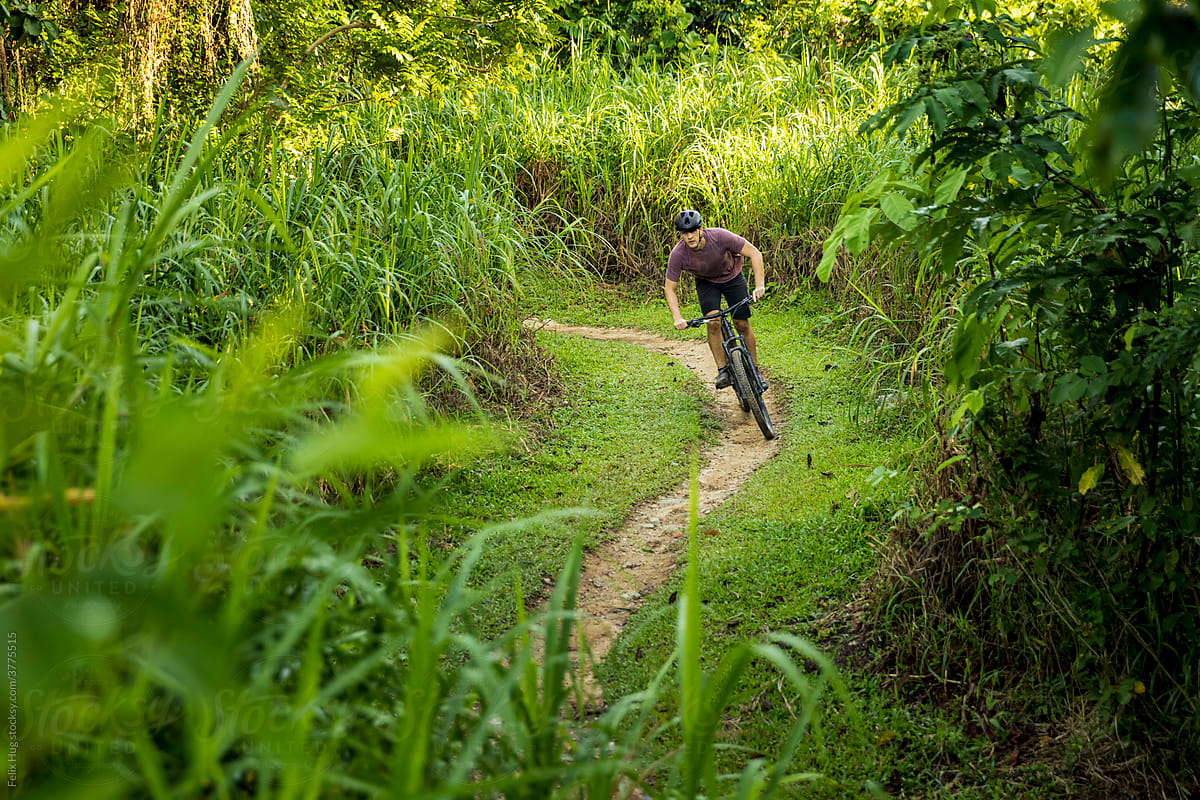 Trail biker in atropical forest