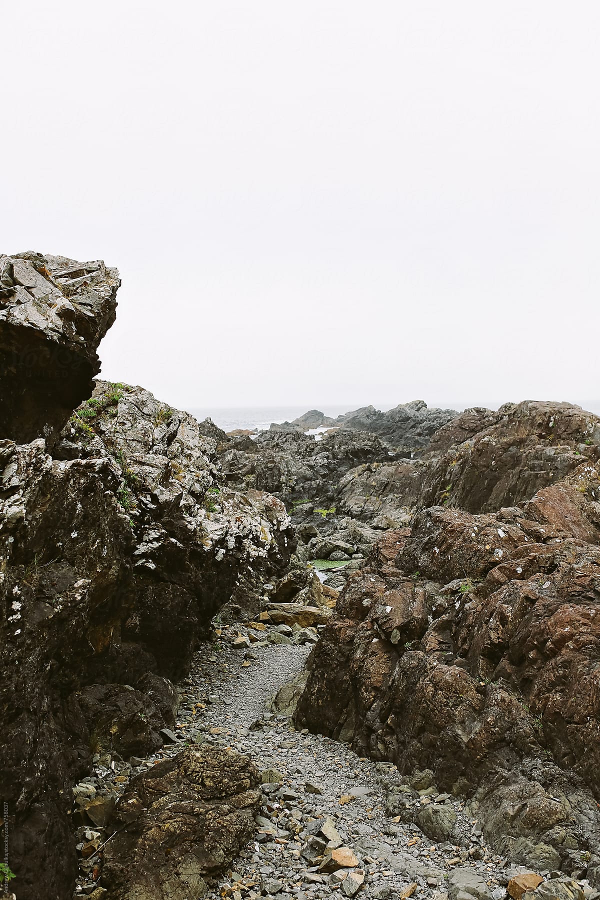 rocky coastline - digital file