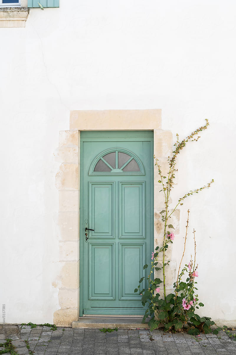 Entry door of house