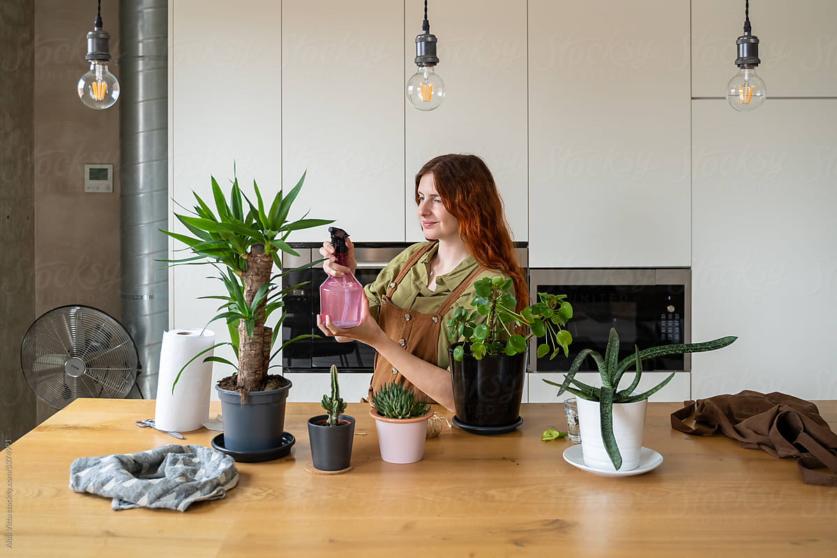 woman Watering House Plants