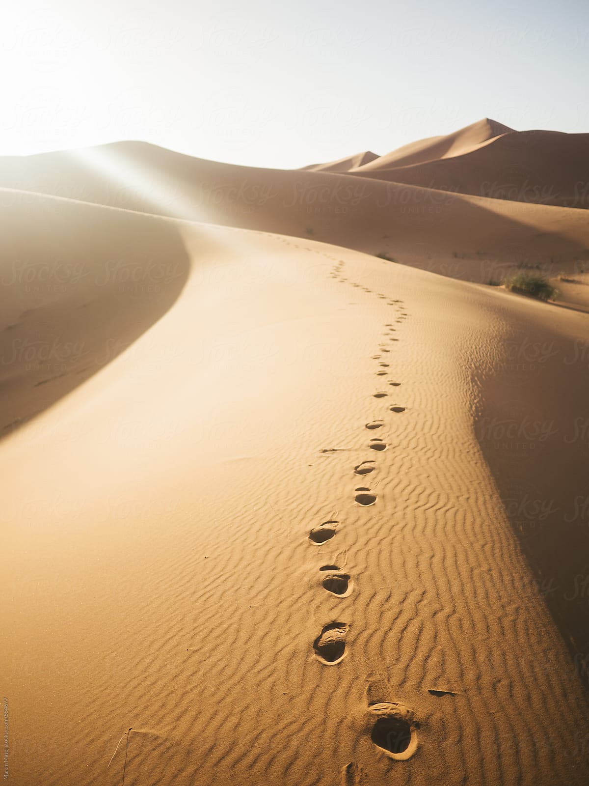 Shoe step marks in desert dunes
