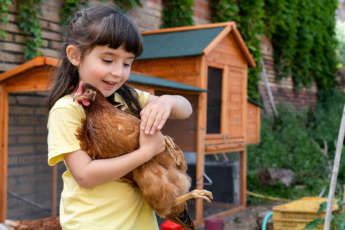 Rural Little girl portrait with hen