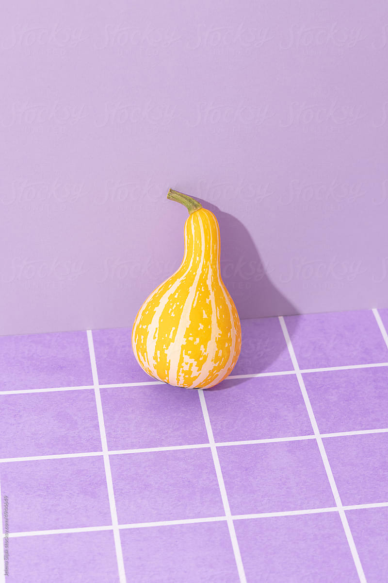 One yellow ornamental gourd on purple background with tiles