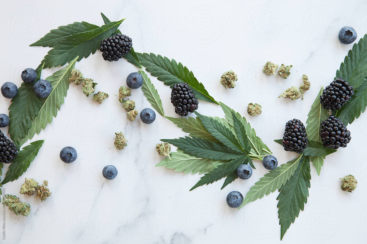 Cannabis Leaves and Flower with Blueberries and Blackberries