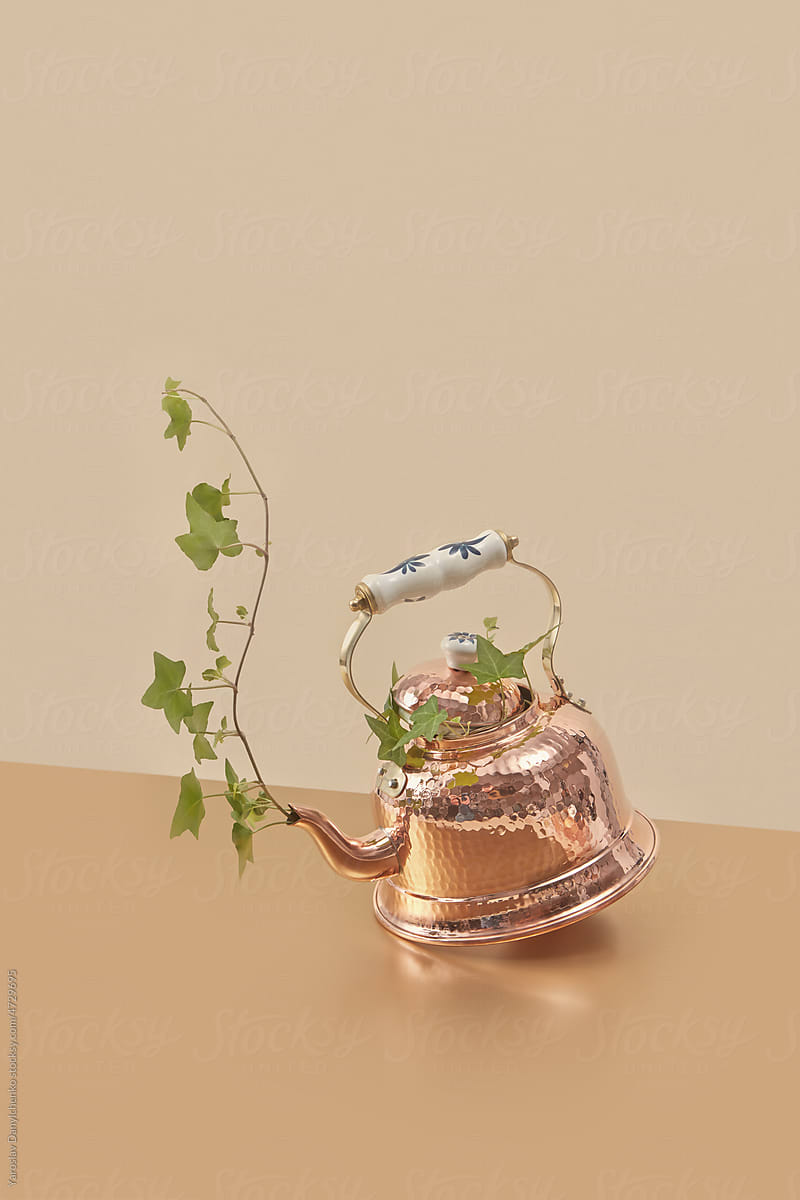 Vintage copper kettle with sticking out green vine.
