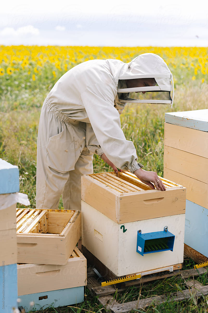 Beekeeper beehive agriculture production