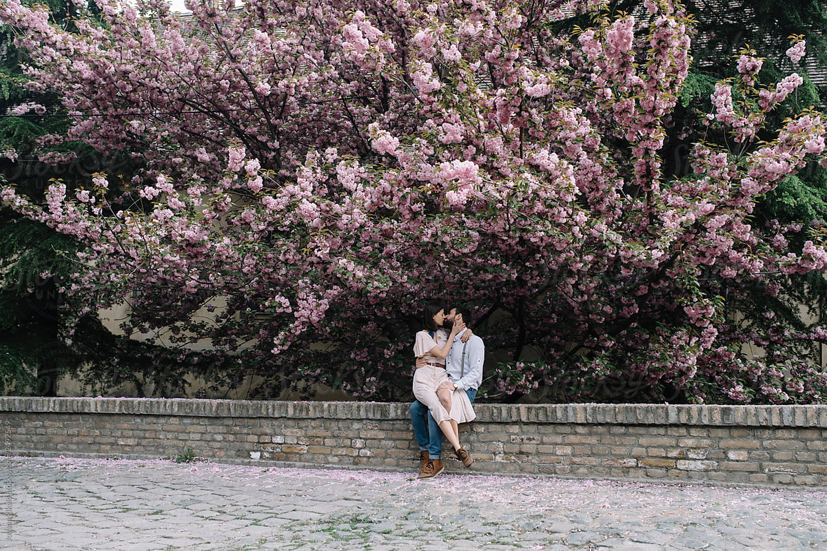 Young couple having picnic under cherry tree