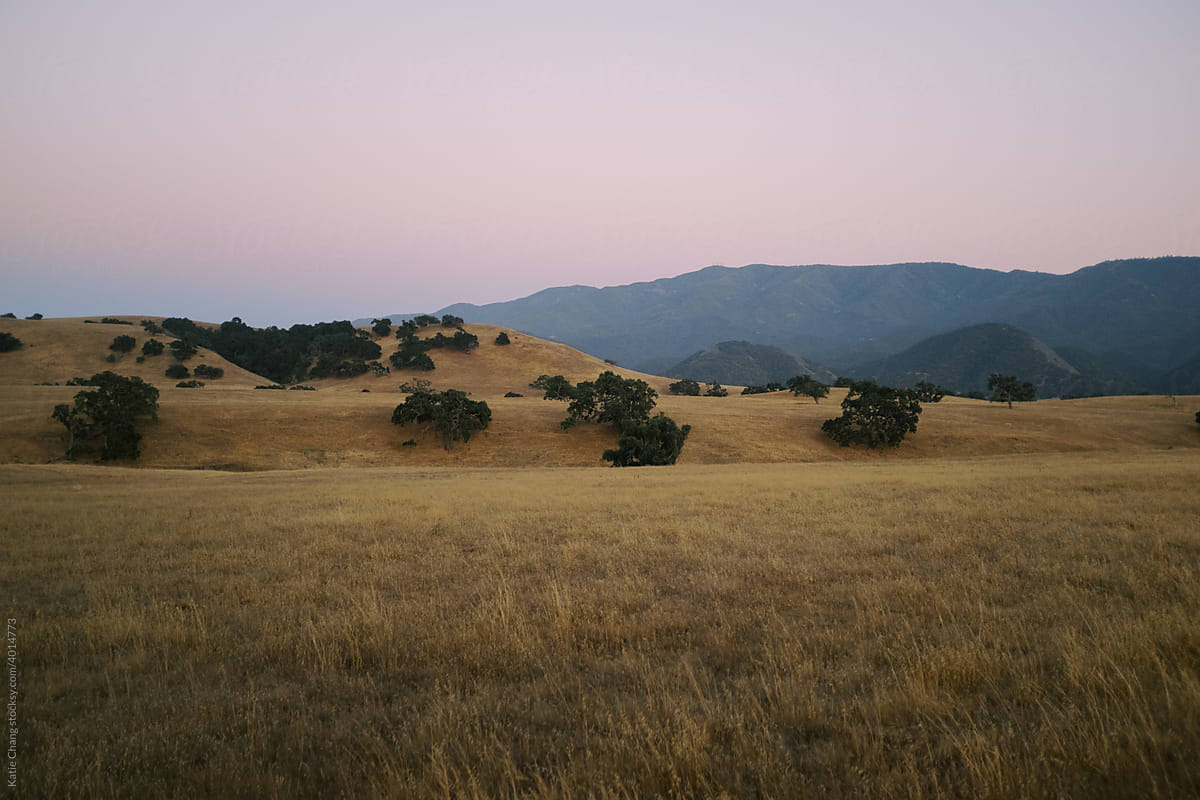 Santa Ynez California Golden Hills At Blue Hour