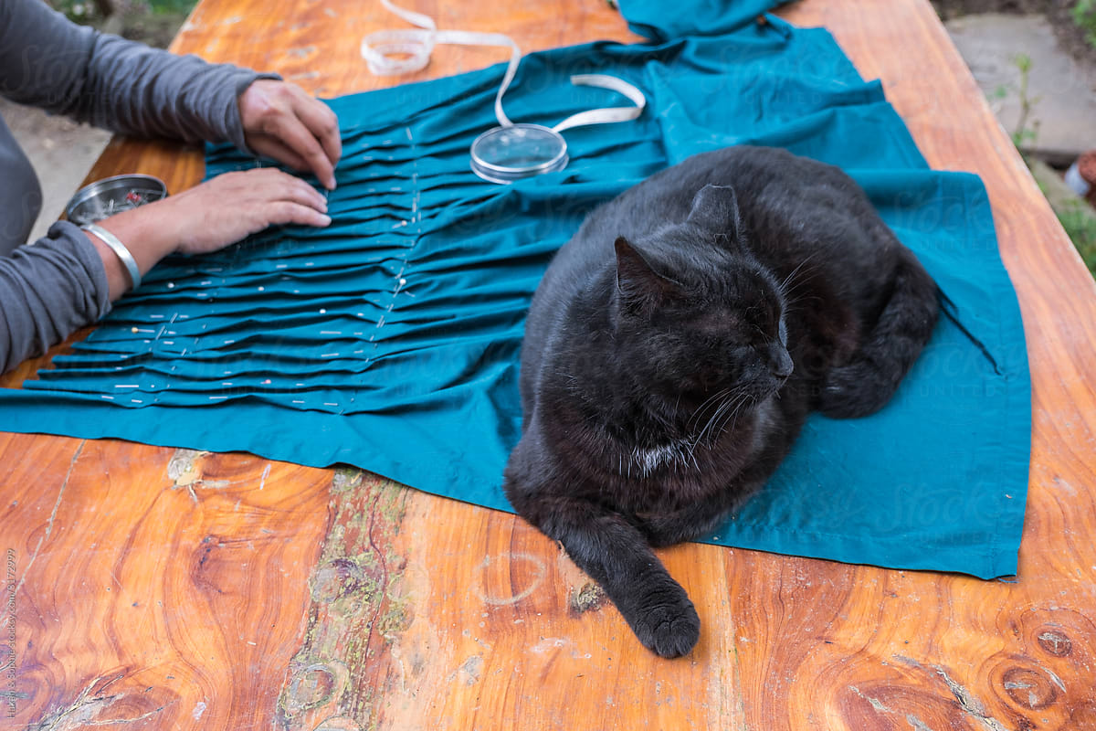 anonymous woman sewing with her cat watching