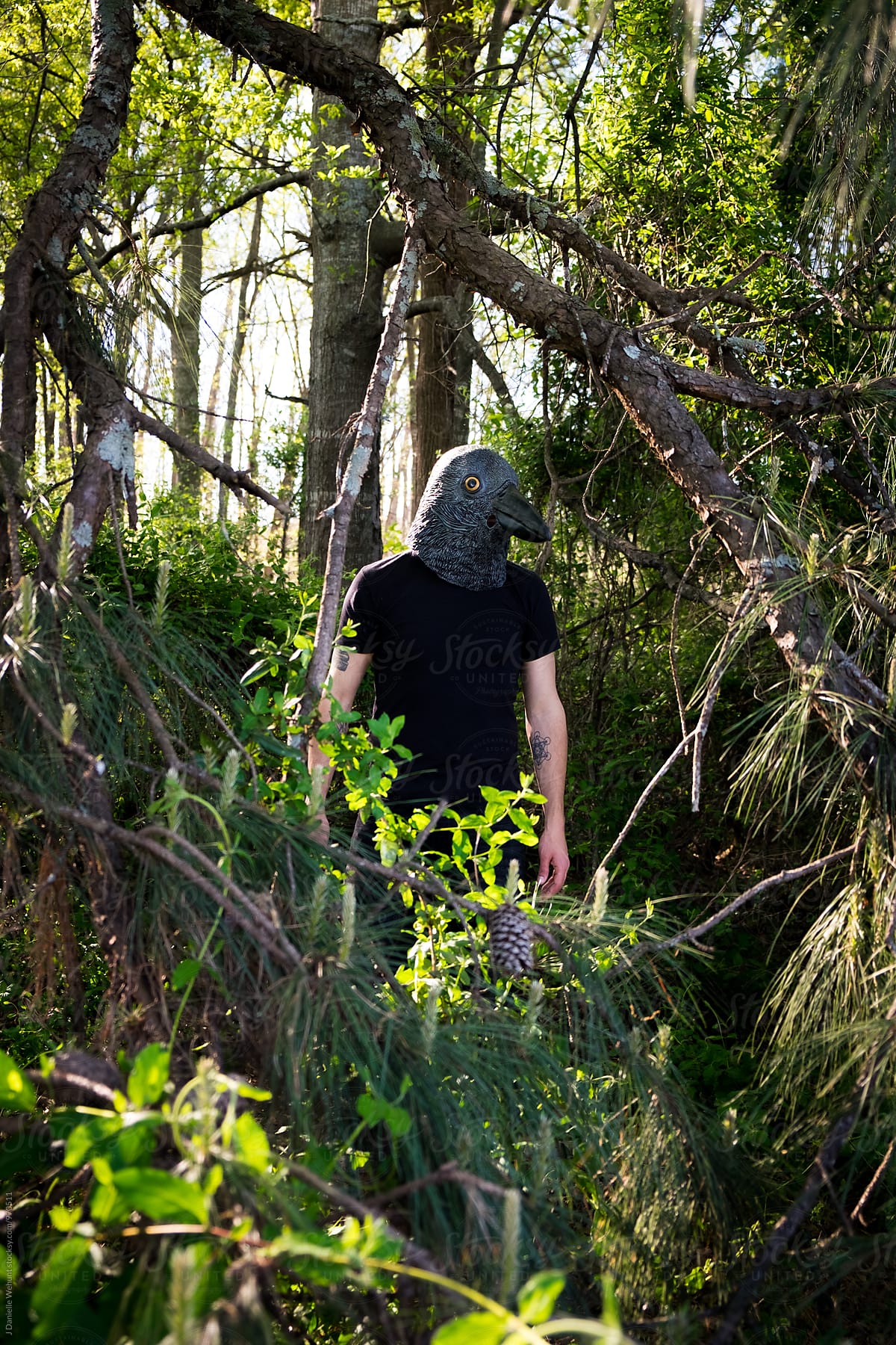 A caucasian man in the woods with crow raven mask on