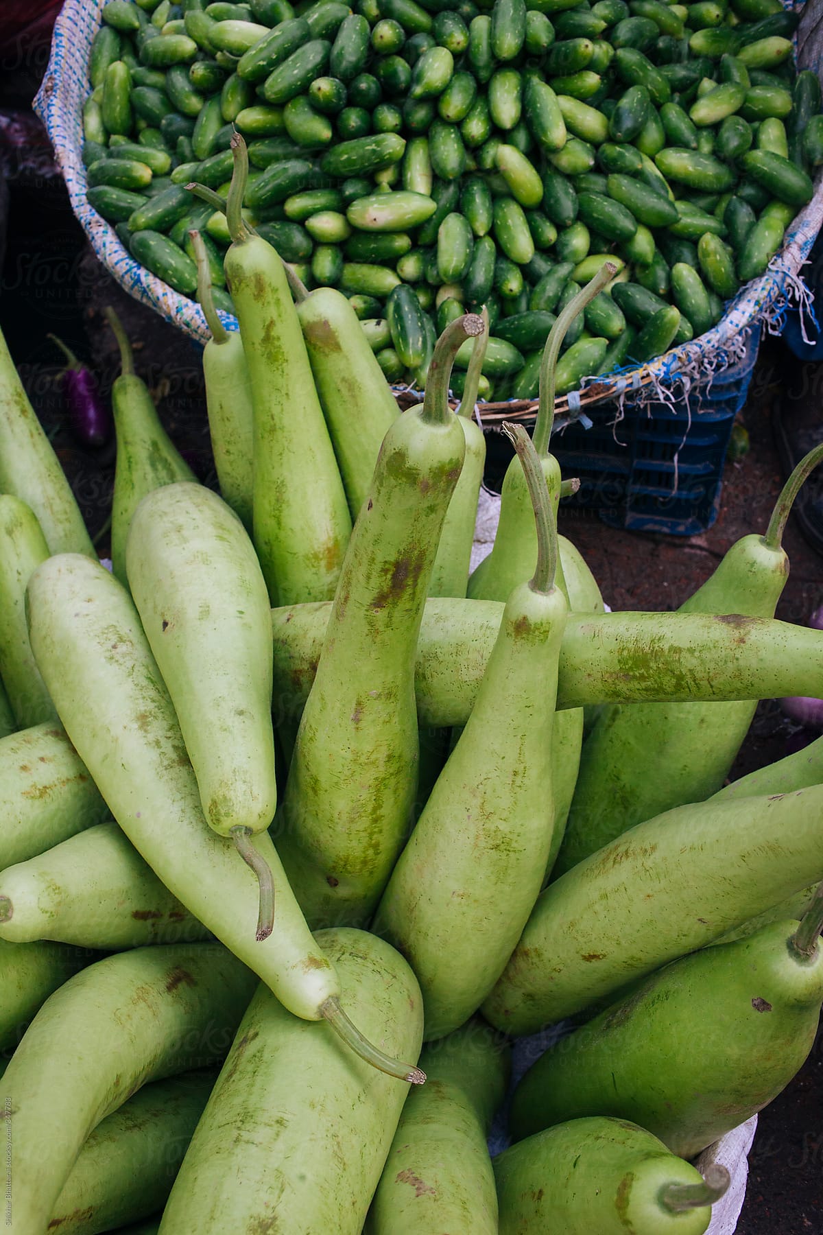 Bottle Gourd on sale at a food market in Asia.