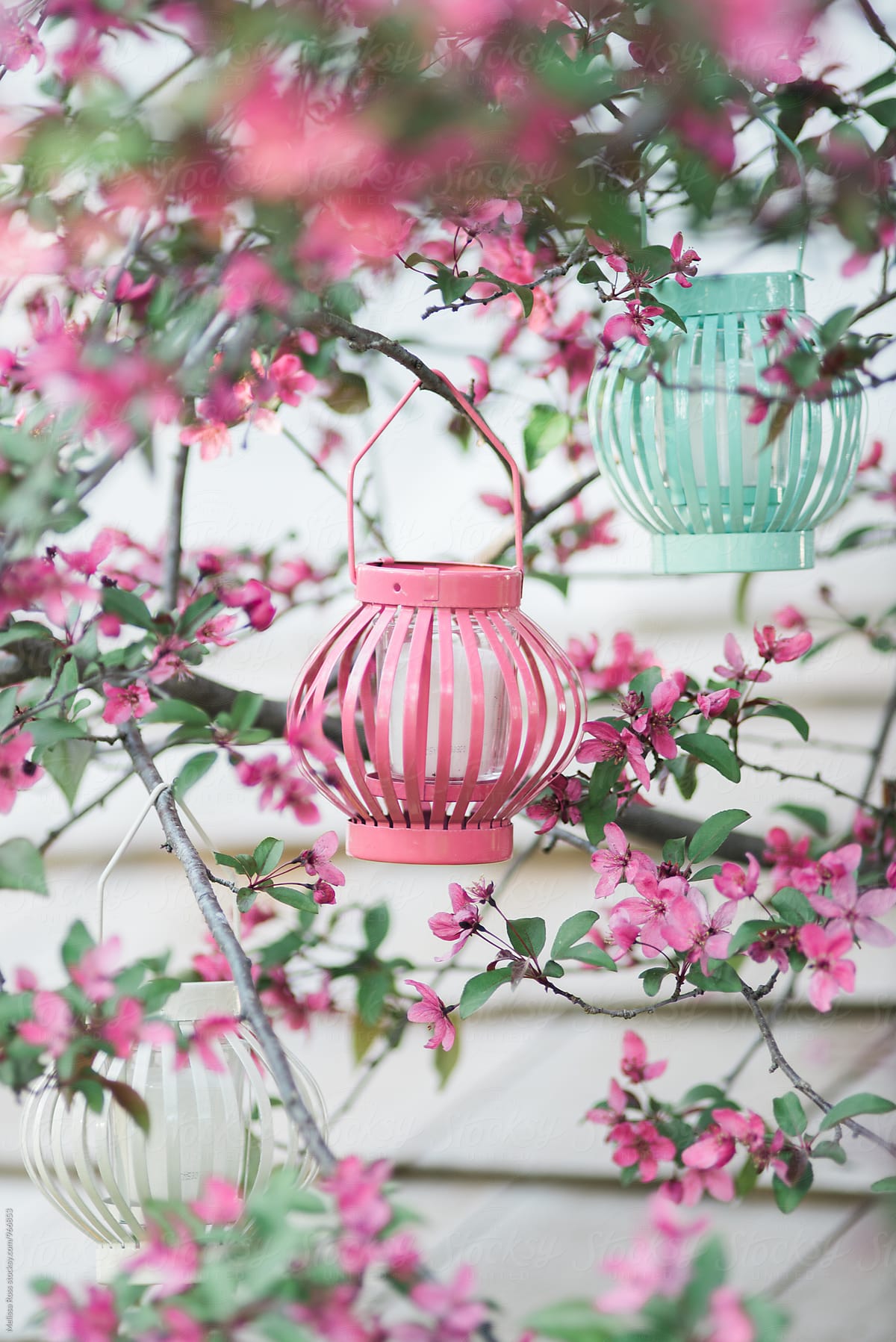 pastel coloured lanterns