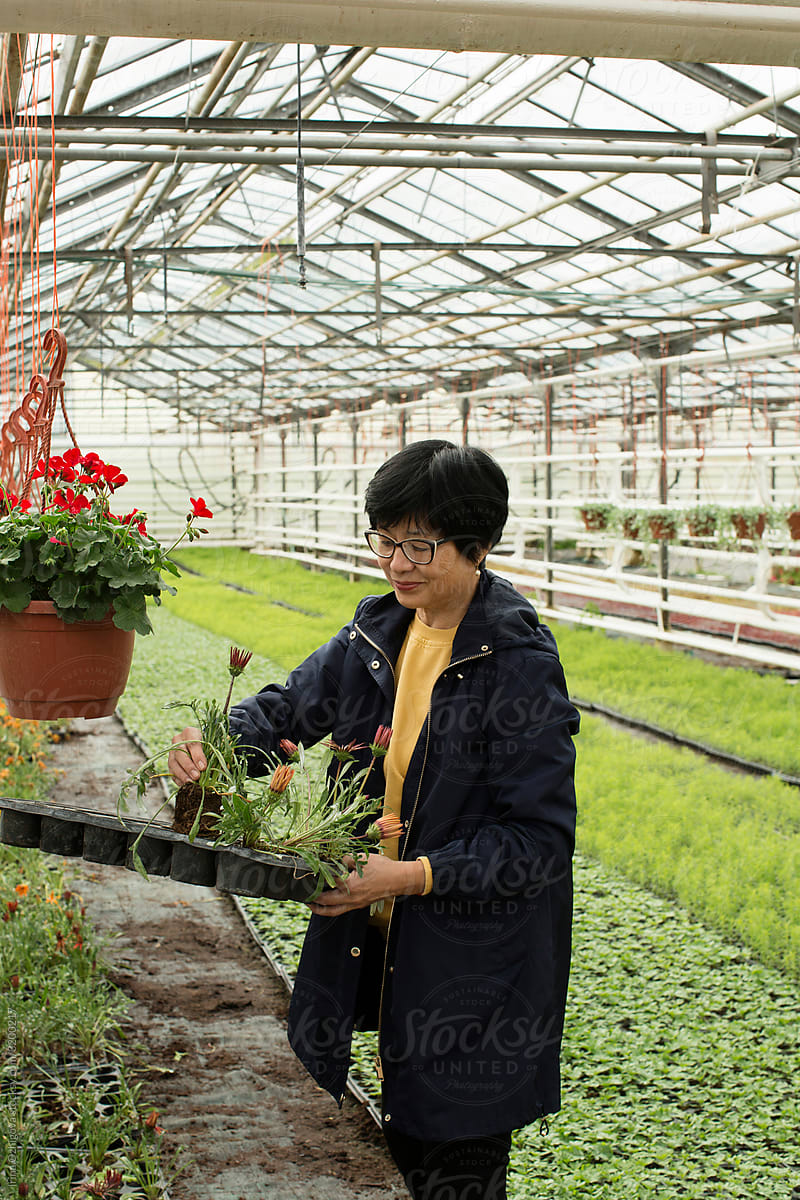 Asian woman in a greenhouse