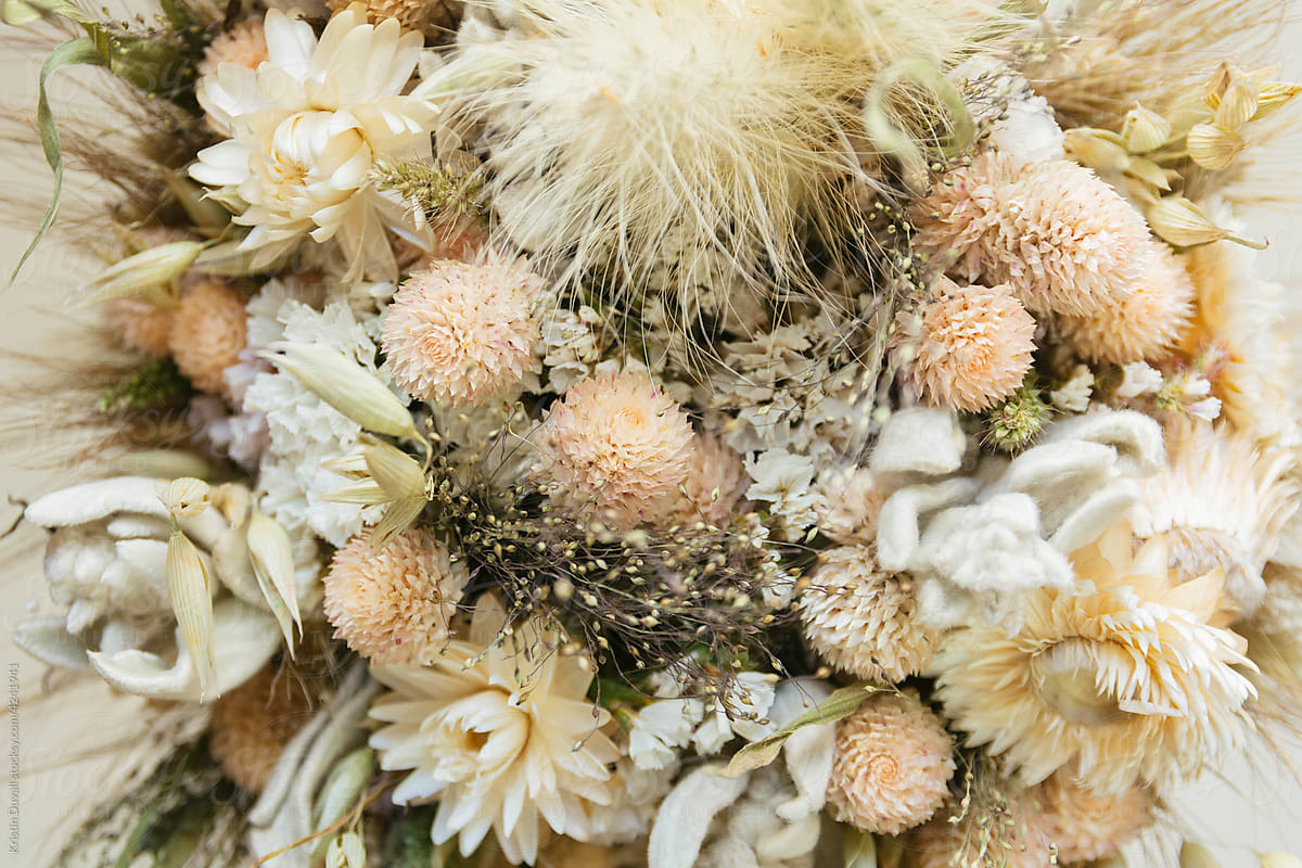 Closeup of dried flowers
