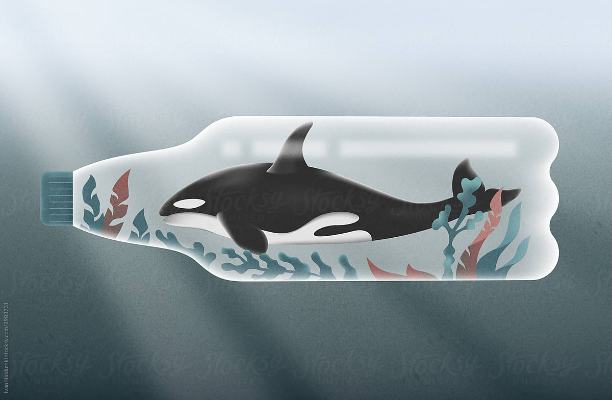 orca whale in a plastic bottle in ocean illustration