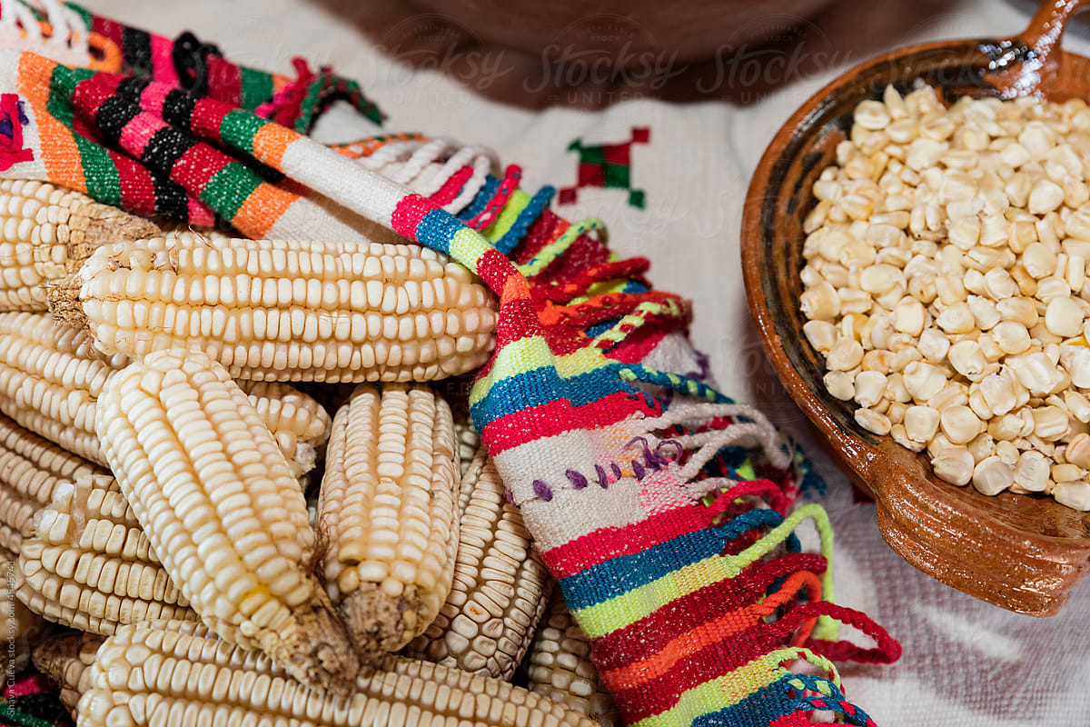 White corncobs on a colorful Mexican cloth