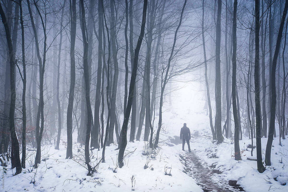 Lonely Person in Spooky Winter Forest