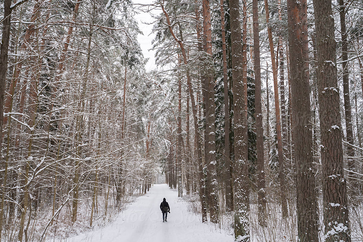 Anonymous Man Walking At Snowy Forest