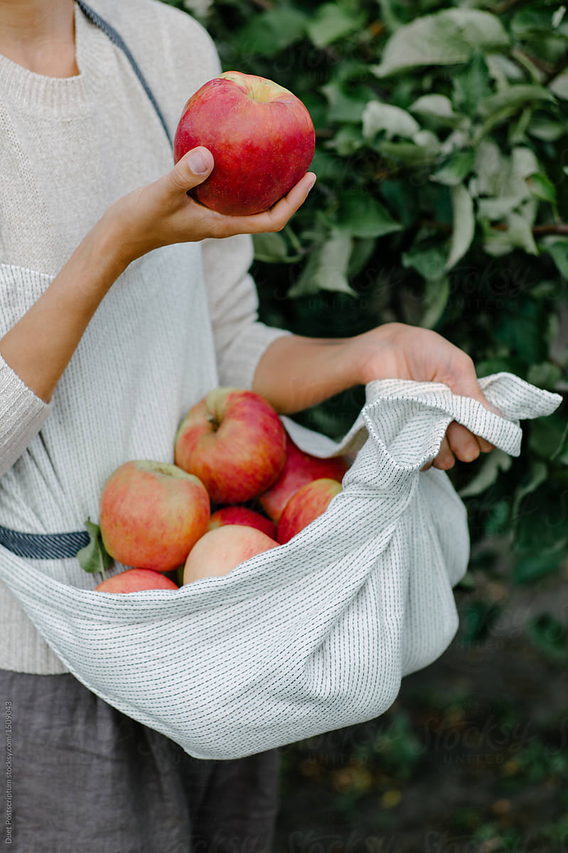 Unrecognizable Woman With Collected Apples By Stocksy Contributor Duet Postscriptum Stocksy 6274