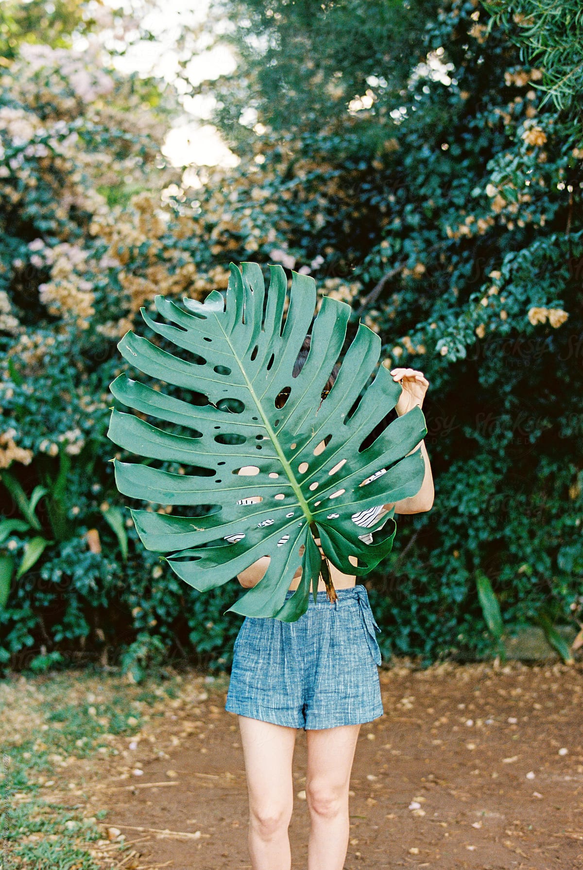 Young woman holding tropical leaf in front of face