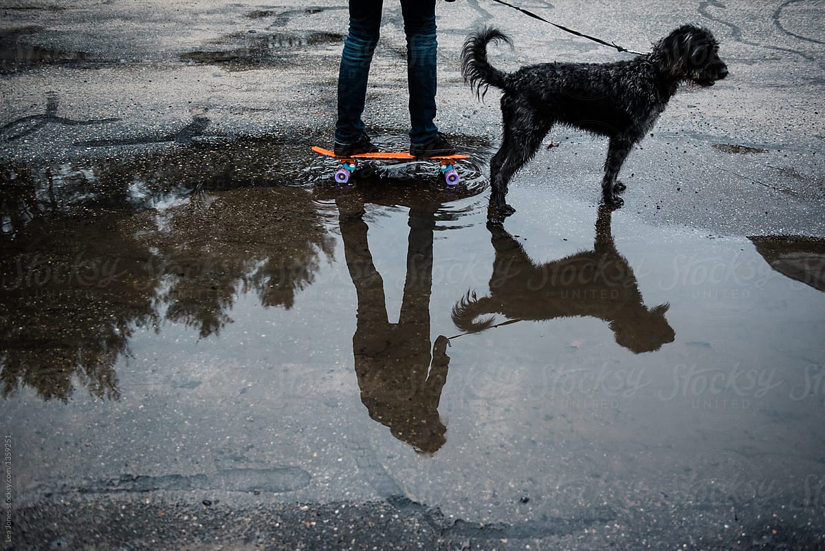 teen  with skate board and dog walking on rainy day