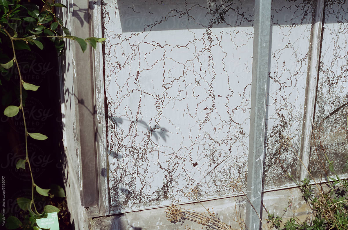 Detail of a window painted by human and nature