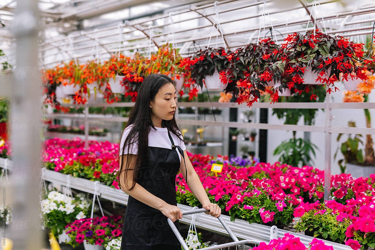 Female employee preparing flowers for order