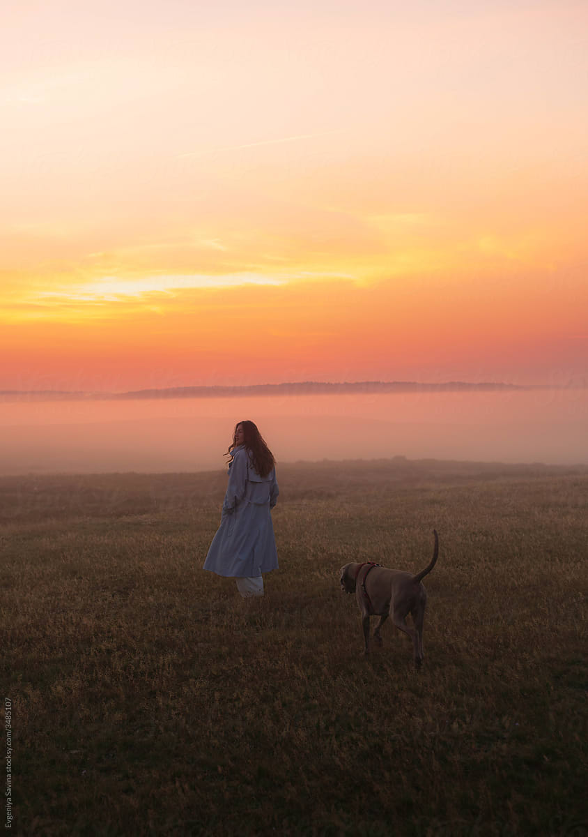 A figure of a woman walking away with a dog in the morning field